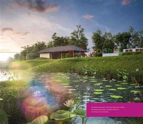 Back To Heaven | 1 BHK Bungalows at Chadsad, Vadodara