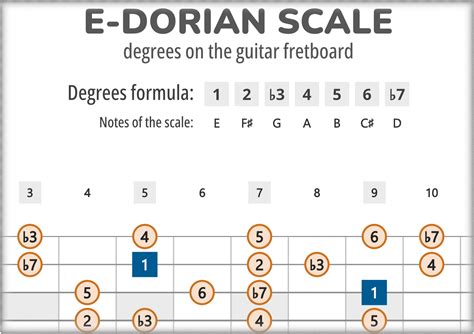 E-Dorian Scale Degrees on the Guitar Fretboard PDF Diagram