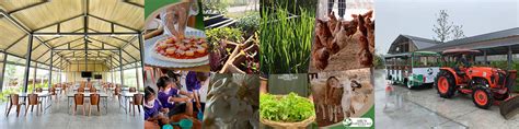 Image result for Simple Library Project Example