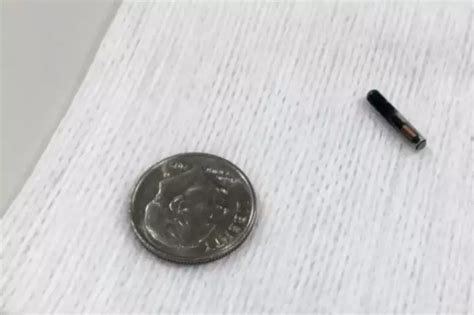 This US Company Had A 'Chip Party' To Celebrate Implanting Their ...