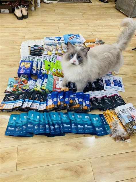 宠博会送什么礼物最新素材