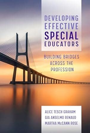 Buy Developing Effective Special Educators: Building Bridges Across the ...