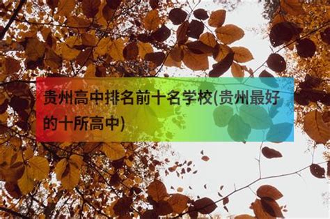 贵州高中排名前十名学校(贵州最好的十所高中) - 职教网