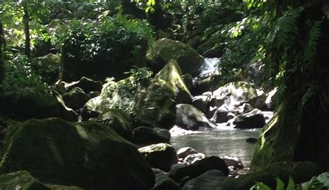 SARI-SARI WATERFALL (2026) All You Need to Know BEFORE You Go (with ...