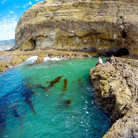 @followmefaraway on Instagram: “Hidden treasure. Sacred Cove. Ranchos ...