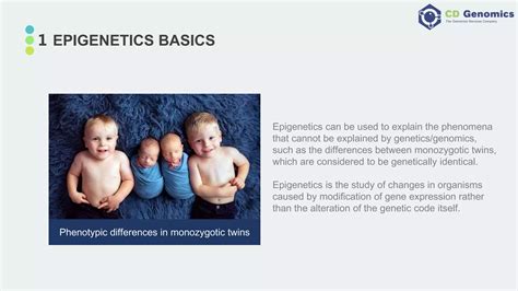 Epigenetic Modifications 的图像结果