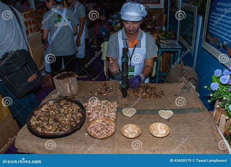 Shelling cashew nuts editorial stock image. Image of cashew - 43450179