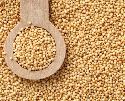 Find Out How Is Amaranth Highly Beneficial For Your Health | Herzindagi