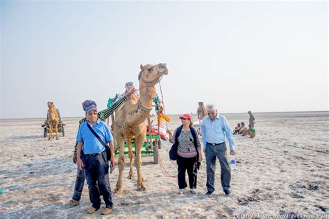 My Travelling Diary: First day at Rann Utsav, The Great Rann of Kutch