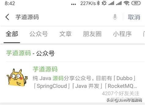 Java Brains Swagger API 的图像结果