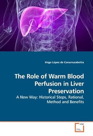 The Role of Warm Blood Perfusion in Liver Preservation: A New Way ...