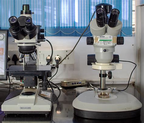 Services | ARML PVT LTD