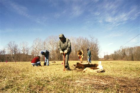 Powell Preserve : Sycamore Land Trust