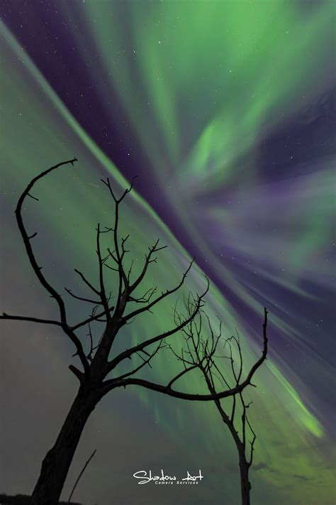 A little distraction from the political landscape and towards the Alberta night sky landscape ...