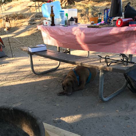 Lopez Lake Recreation