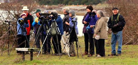 Guided Birding Field Trip at Semiahmoo Spit, 9261 Semiahmoo Pkwy ...