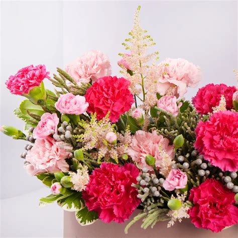 Order Mama Garden Joy Online | Same-Day Delivery UAE - Fnp.ae