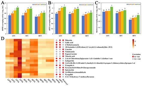Comparative Analysis of Three Different Types of Fermented Tea by ...