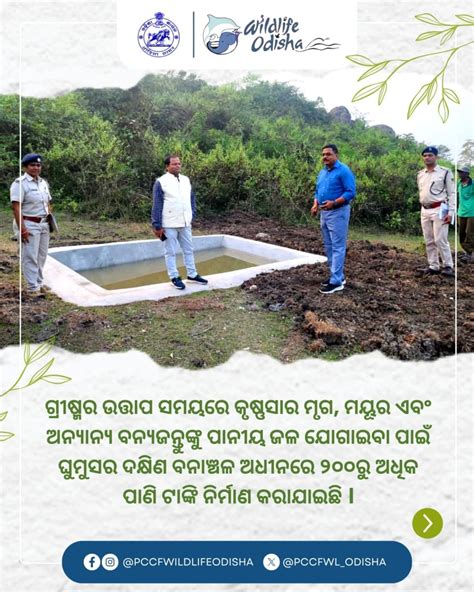PCCF Wildlife & CWLW, Odisha | A remarkable guide to the rare and threatened avian species of ...