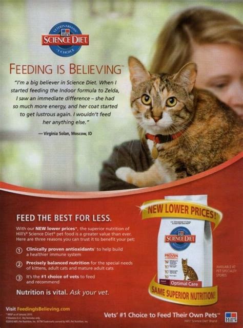 science diet cat food