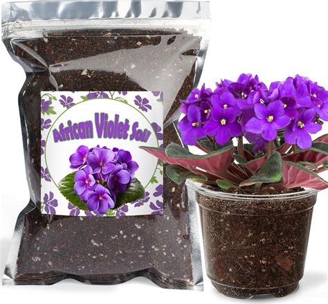Organic African Violet Potting Mix, Indoor Plants Potting Mix for All ...