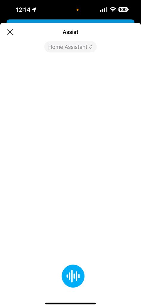 Image result for Voice Assistant Setting