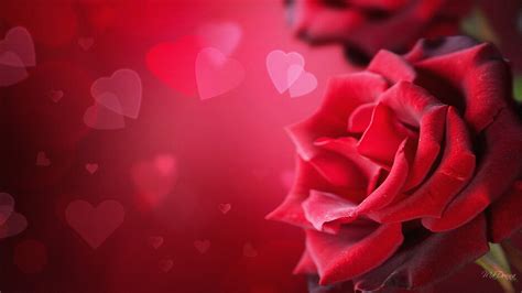 Valentine S Day Wallpapers - WallpaperSafari