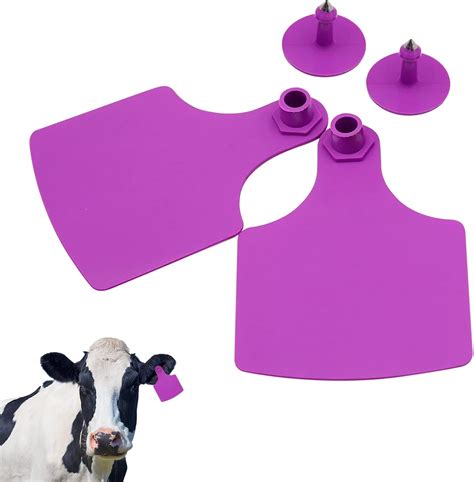 Buy LIUCOGXI 100 Sets Cattle Ear Tags Blank Oversize Big Livestock Cow ...