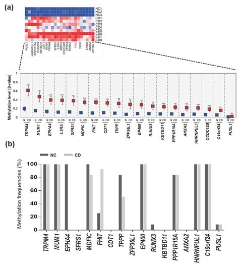 Genome-Wide Analysis of the DNA Methylation Profile Identifies the ...