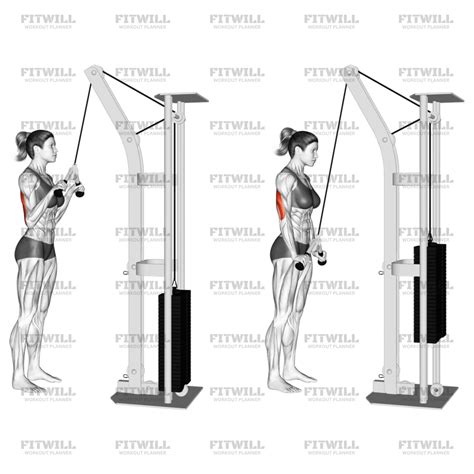 Cable V-Bar Triceps Pushdown: Exercise Guide, Video, Techniques ...