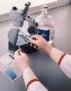 Buy A Professional 513983-7 - Rollpruf Cleanroom Gloves, a Advantech ...