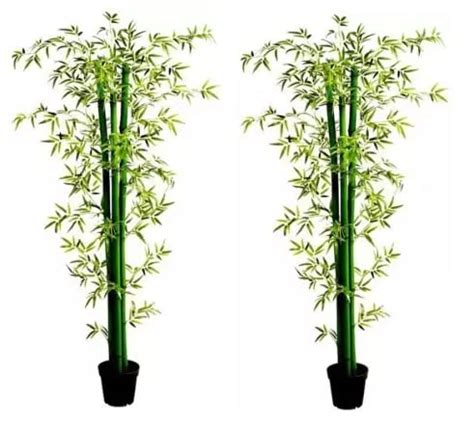 Buy BigBamboo1502 Artificial Bamboo Tree Pack of 2 PCS Online at Low ...