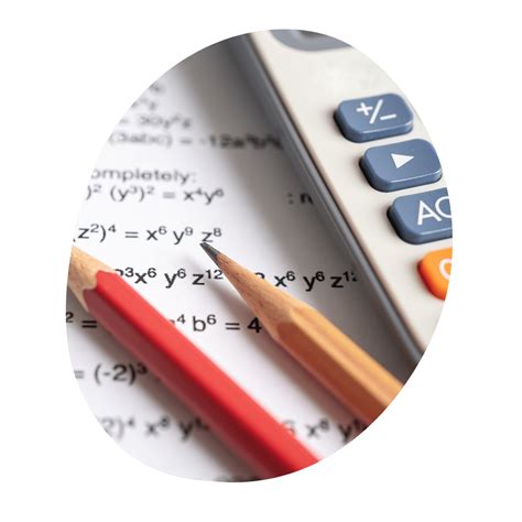 College Admissions Trends in 2024