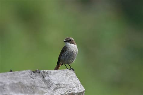 Techy Background 的图像结果