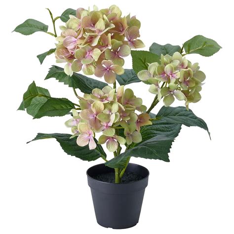FEJKA artificial potted plant, in/outdoor/hydrangea white, 12 cm (4 ¾ ...
