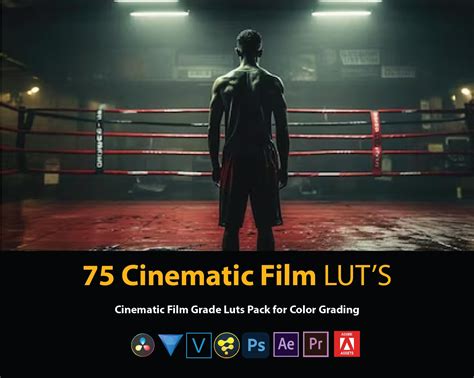 Cinematic Luts, Davinci Resolve Templates – MOFAF