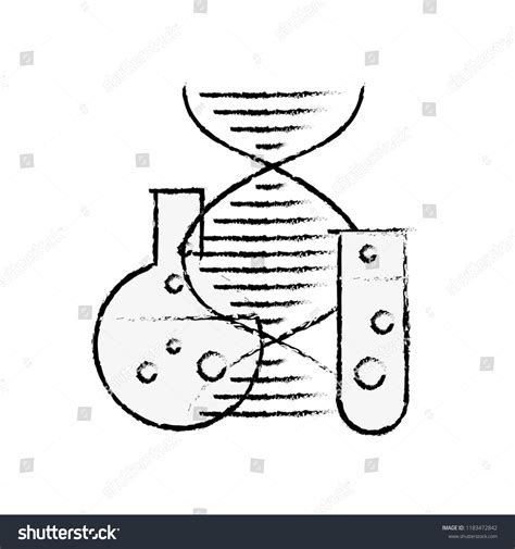 Genetics Pics 的图像结果