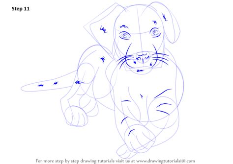 Image result for Labrador Drawing Tutorial
