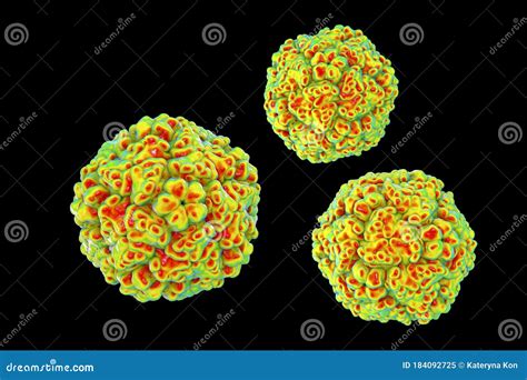 Enteroviruses, a Group of RNA-viruses Including Echoviruses ...
