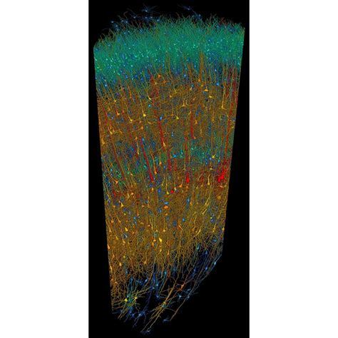 Google DeepMind 的图像结果