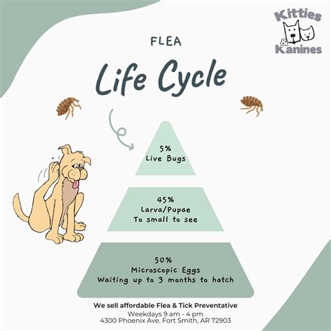 Kitties and Kanines Vet Clinic (@kittiesandkaninesvetclinic ...