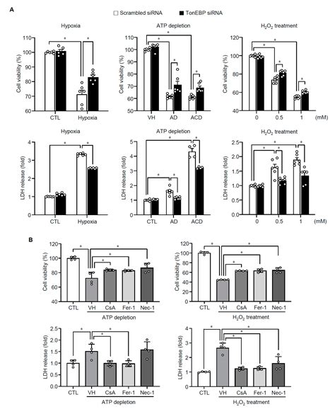 Transcriptional Regulator TonEBP Mediates Oxidative Damages in Ischemic ...