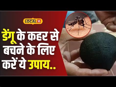 Dengue: Bihar में डेंगू का कहर,बचने के लिए करें ये उपाय!| Dengue ...
