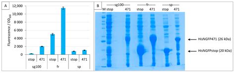 Split-GFP Reassembly Assay: Strengths and Caveats from a ...