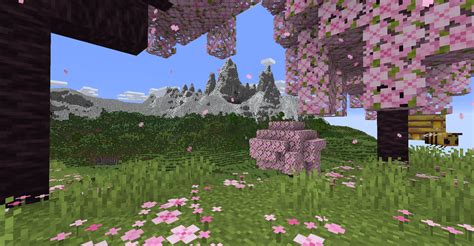 Image result for Minecraft Java World Seeds