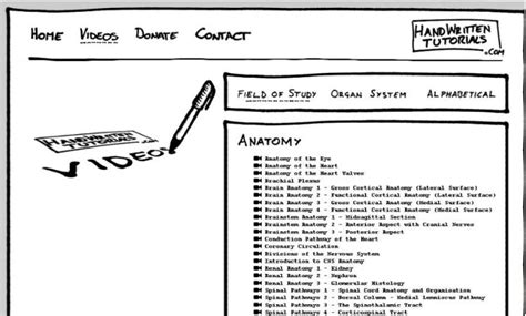 Image result for Handwritten Tutorials Kidney