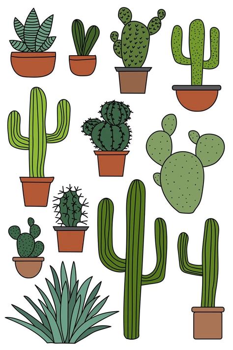 Cactus Clipart Set, Hand Drawn Clip Art Illustrations of Desert Cacti ...