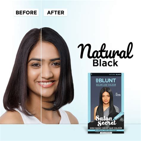BBlunt Salon Secret High Shine Natural Black Hair Colour -100g