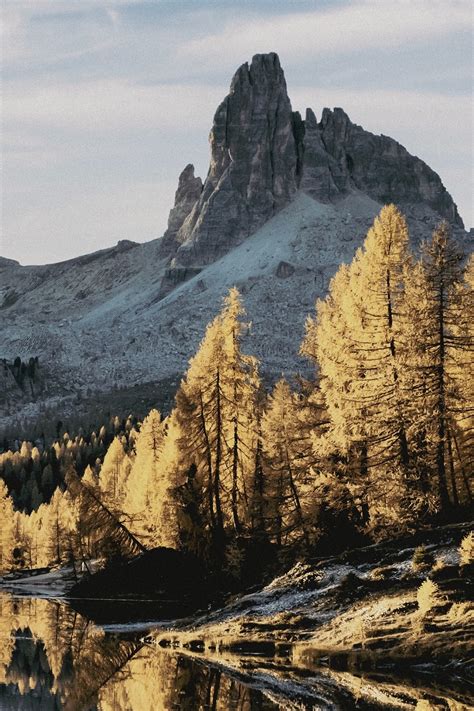 Log in | MemorialCare