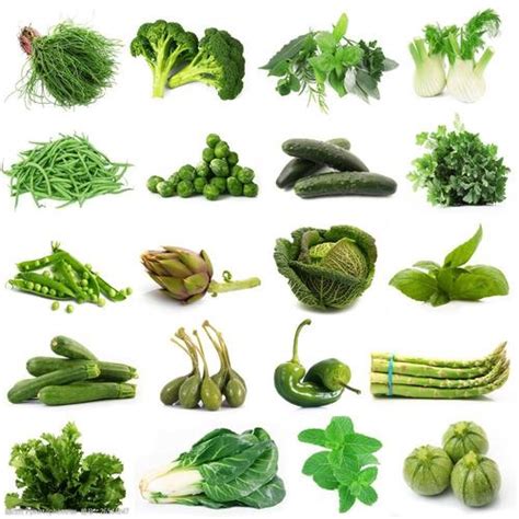 绿色蔬菜是什么（绿色蔬菜是什么意思）